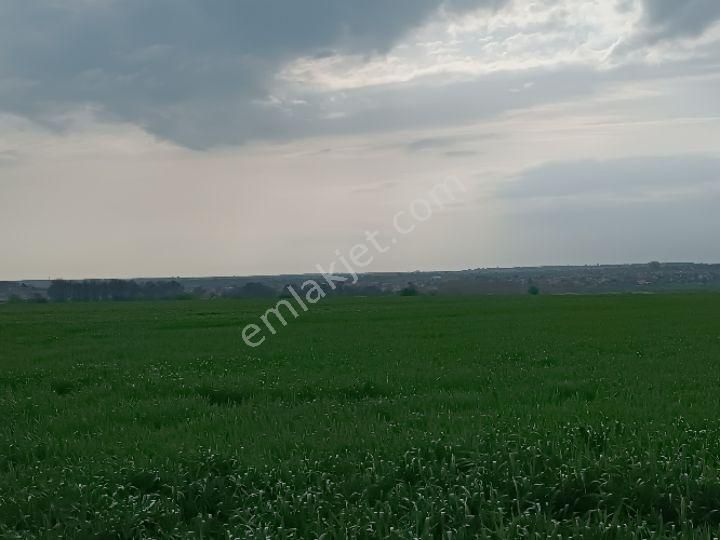 Küçükyoncalı Mahalle 1000 Metre Mesafede Satılık 300 M2 Tarla - Görsel 10