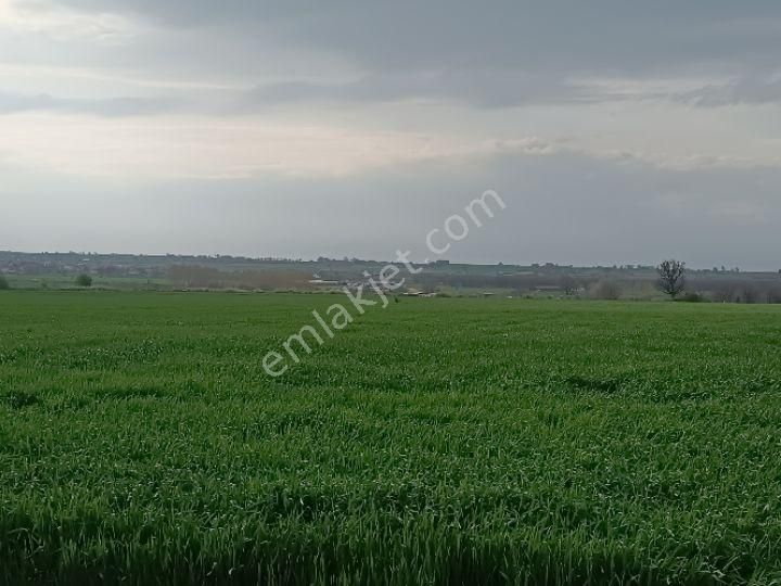 Küçükyoncalı Mahalle 1000 Metre Mesafede Satılık 300 M2 Tarla - Görsel 14