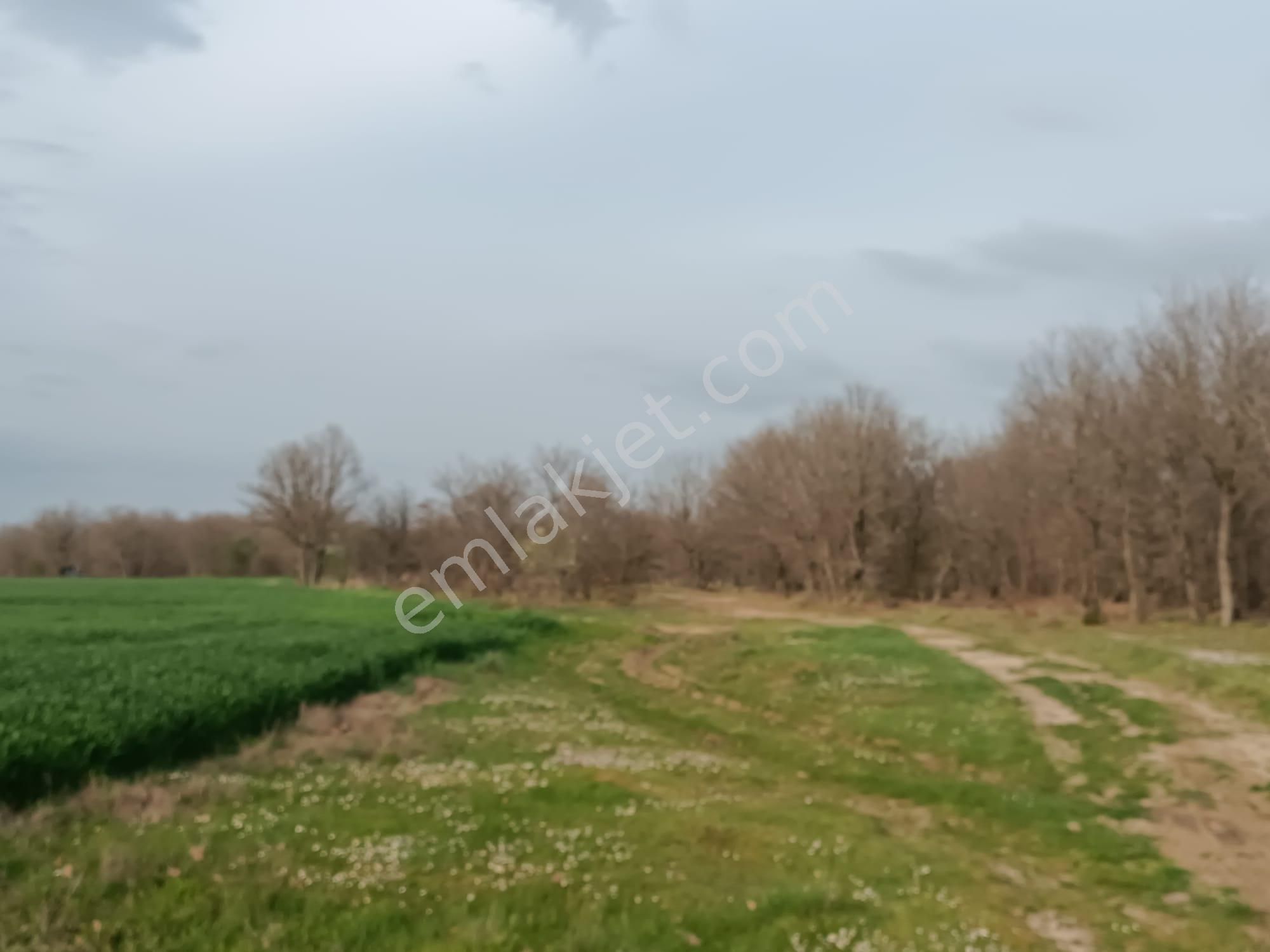 Küçükyoncalı Mahalle 1000 Metre Mesafede Satılık 300 M2 Tarla - Görsel 8