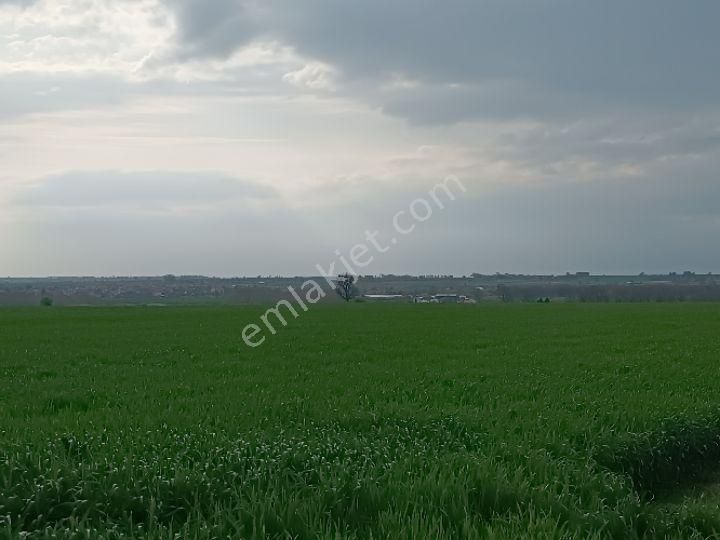 Küçükyoncalı Mahalle 1000 Metre Mesafede Satılık 300 M2 Tarla - Görsel 11