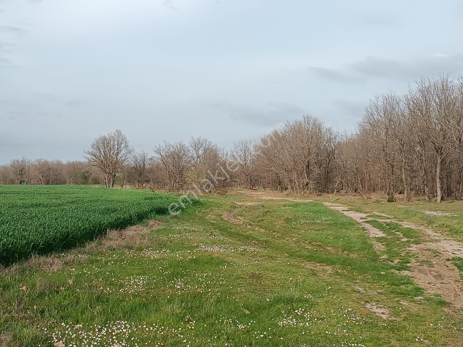 Küçükyoncalı Mahalle 1000 Metre Mesafede Satılık 300 M2 Tarla - Görsel 18