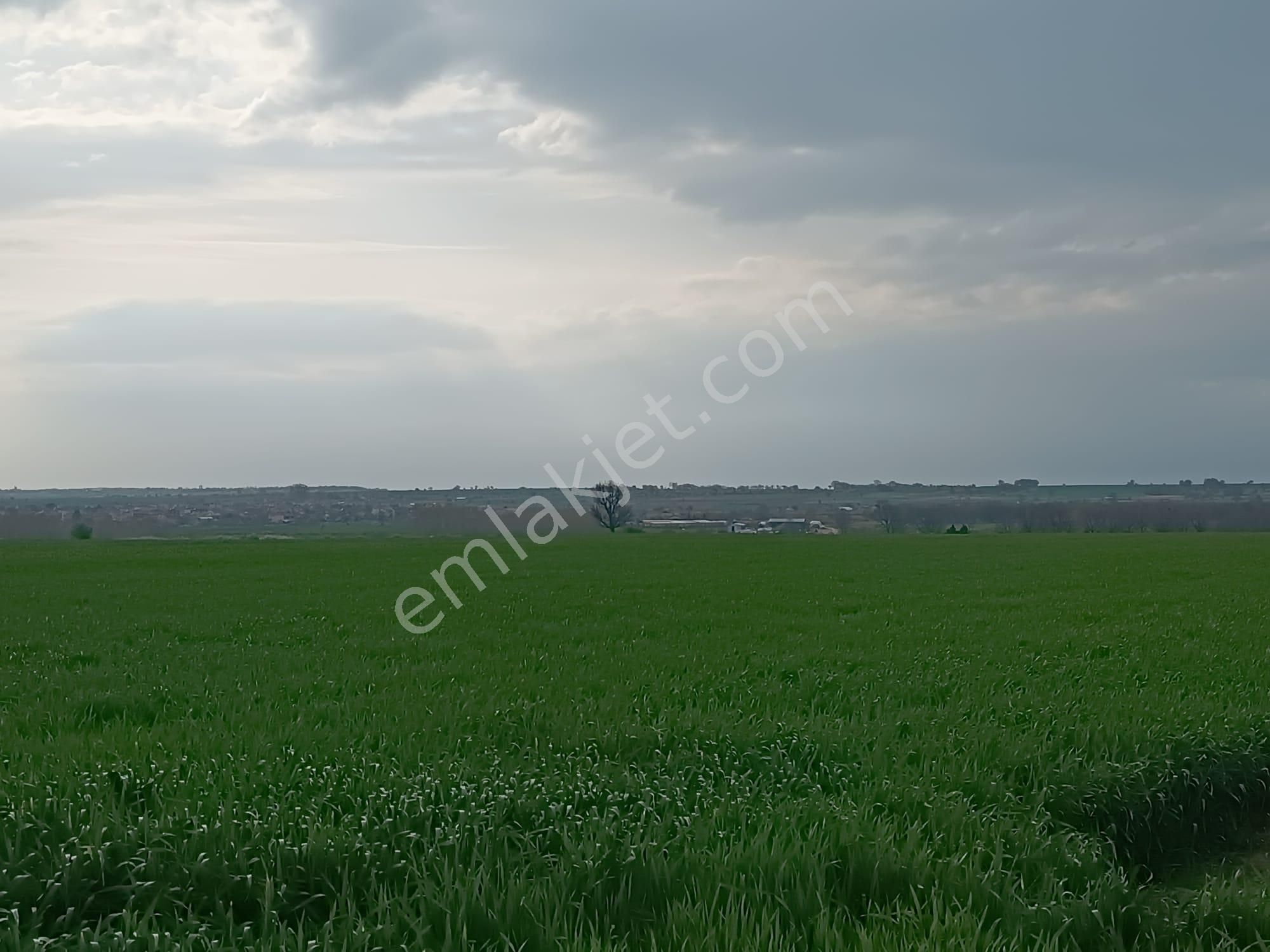 Küçükyoncalı Mahalle 1000 Metre Mesafede Satılık 300 M2 Tarla - Görsel 5