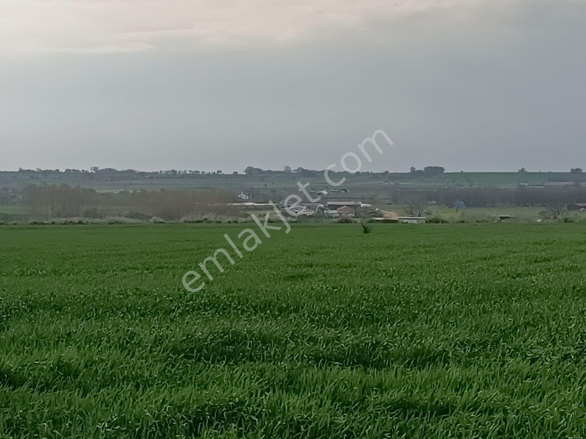 Küçükyoncalı Mahalle 1000 Metre Mesafede Satılık 300 M2 Tarla - Görsel 6