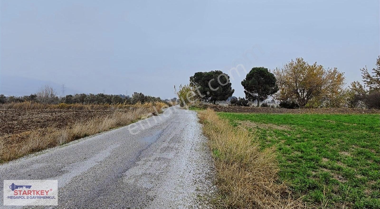 Aliağa B. Hayrettin Paşa Satılık Bağ & Bahçe Aliağa Bağarası Mevkiinde 6.312m2 Arsa