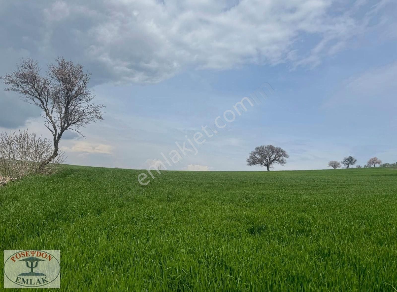 Gelibolu Sütlüce Köyü Satılık Tarla Gelibolu-sütlüce Köyü 3100 M2 Tarla İmarlı Satılık Arsa