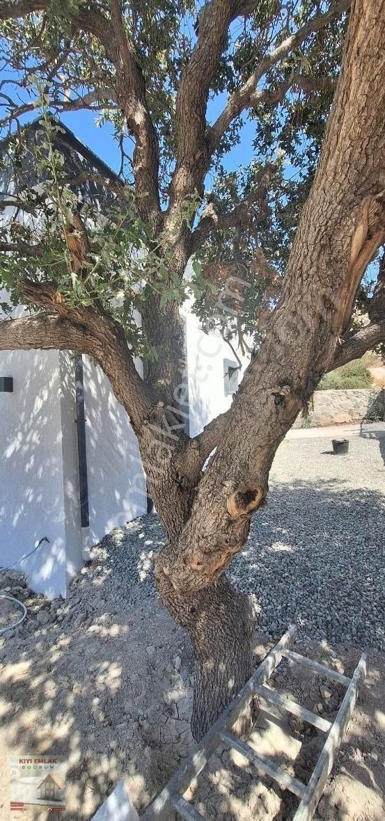 Bodrum Karabağ Kiralık Villa Kıyı Emlak'tan Kiralık Tek Kat Vılla Denız Ve Doğa Manzaralı