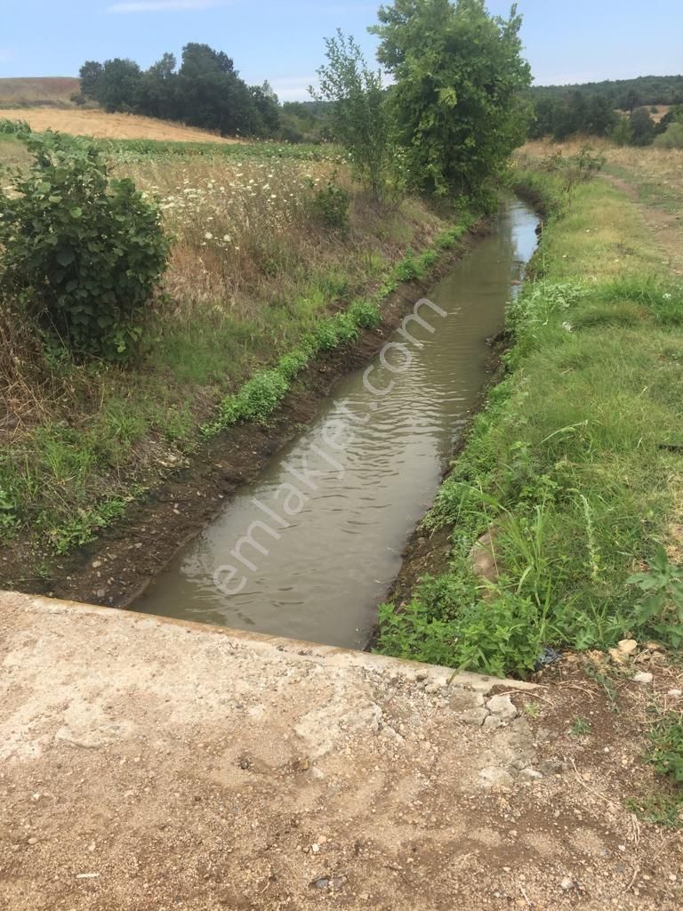 Biga Gürgendere Köyü Satılık Tarla Çanakkale Biga Satılık Tarla 7600 M2 Kadastrol Yollu