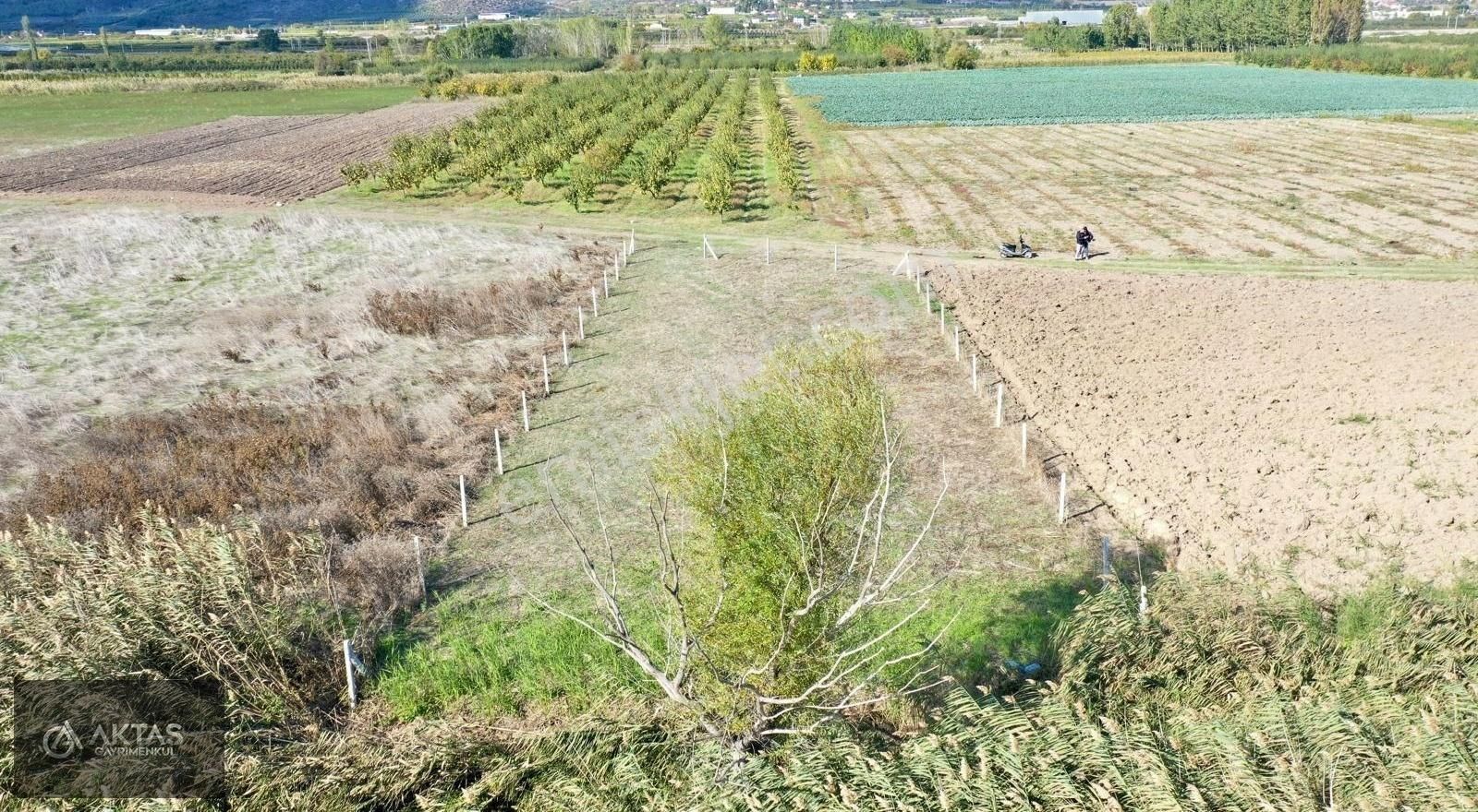 Pamukova Çardak Satılık Tarla Pamukova Çardak'ta Resmi Yollu 787 M2 Tarla