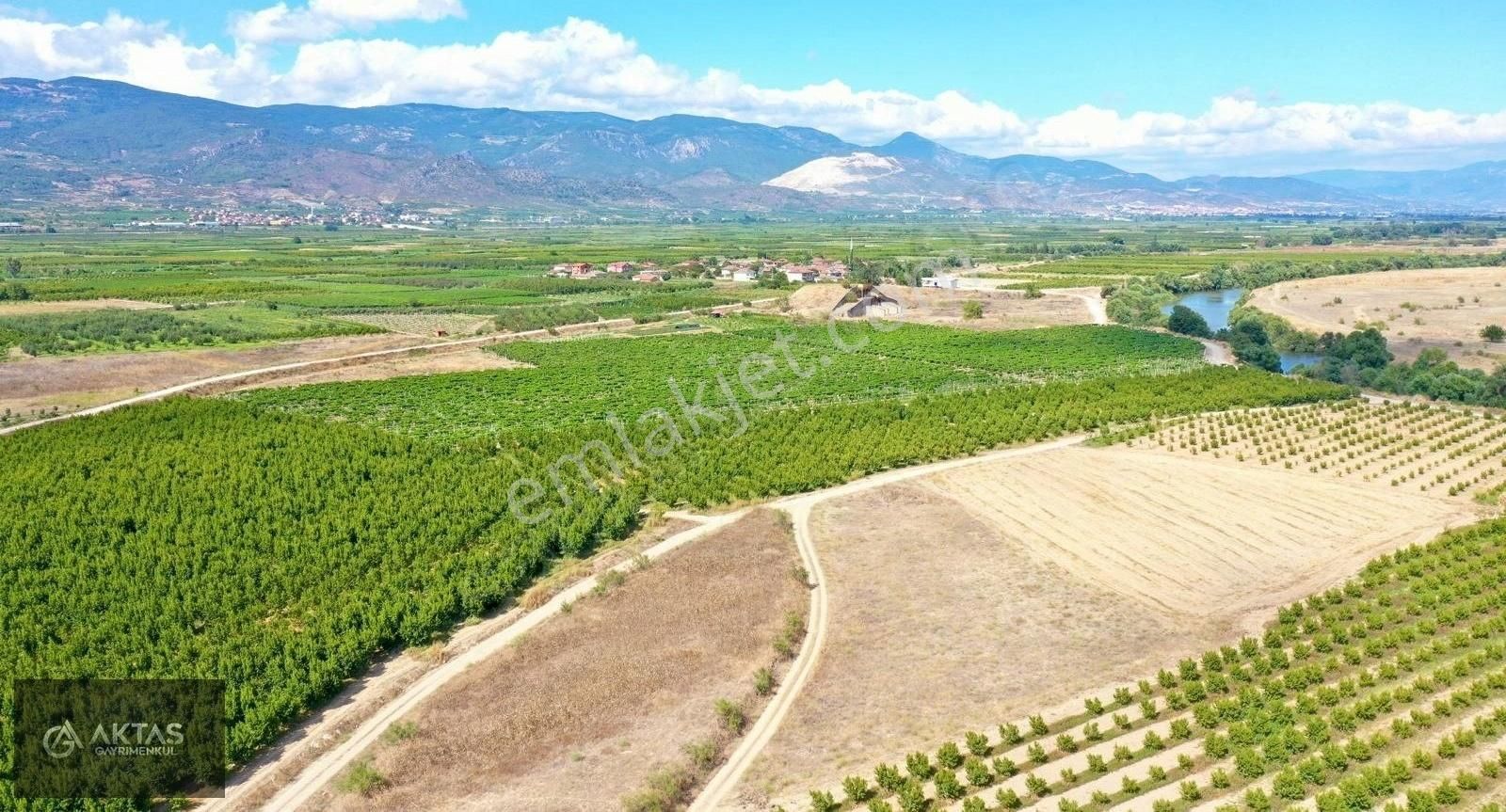 Pamukova Eğriçay Satılık Tarla Pamukova Eğriçay'da 7135m2 Resmi Yollu Yetişkin Cevizlik