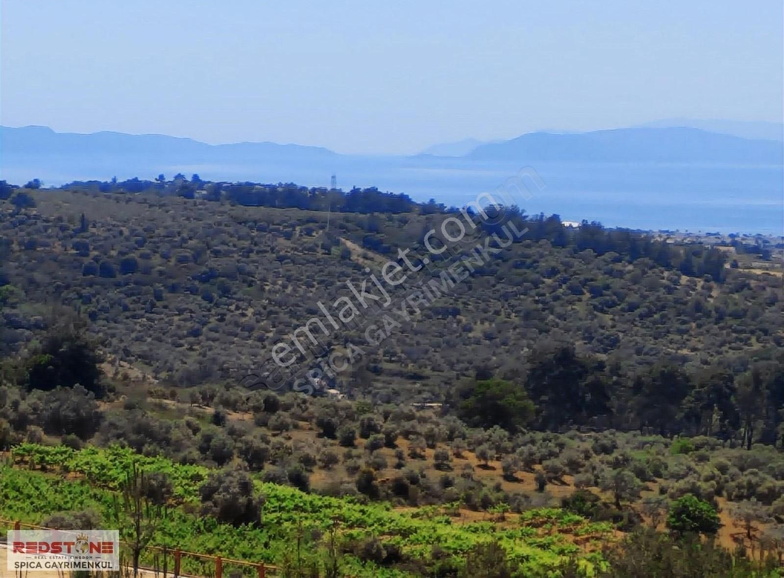 Kuşadası Kirazlı Satılık Tarla Kuşadası Kirazlı Da Deniz Manzaralı Satılık Tarla