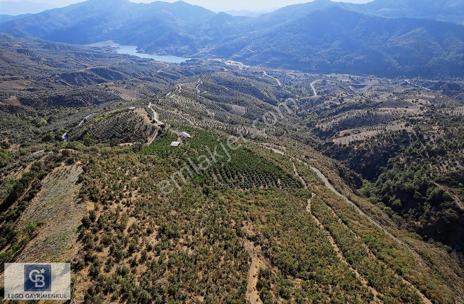 Ödemiş Süleymanlar Satılık Tarla İzmir Ödemiş Süleymanlarda 20000 M2 Ceviz Ve Zeytinli Tarla