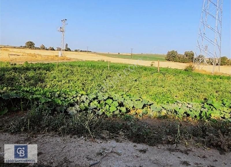 Uşak Merkez Muharremşah Satılık Tarla Uşak Muharremşah Mahallesinde Satılık Verimli 4697m2 Tarla