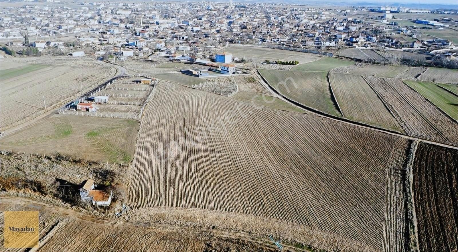 Kırklareli Merkez Kavaklı Bld. (Celaliye) Satılık Konut İmarlı Mayadan İmarlı Arsalar