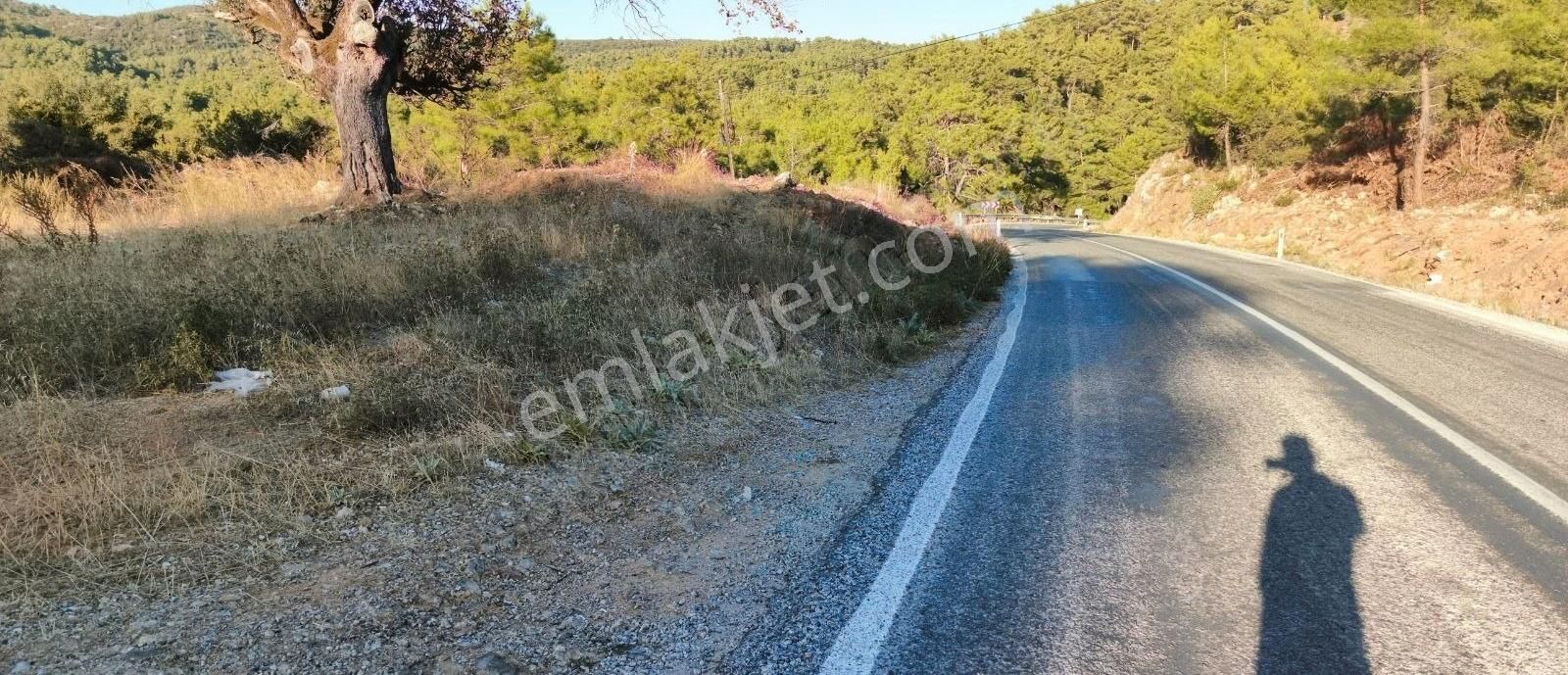 Ula Çiçekli Satılık Tarla Muğla Ula Çiçekli Mahallesinde Satılık Parsel