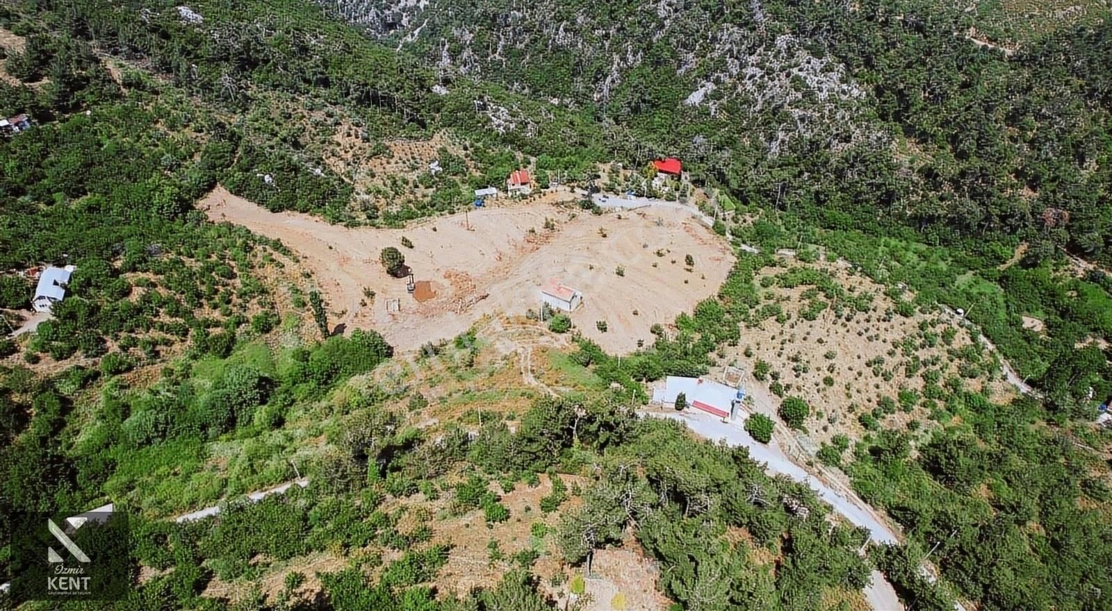 Kemalpaşa Atatürk Satılık Bağ & Bahçe Kemalpaşa Atatürk Kozludere Satılık Arazi 8.132 M2