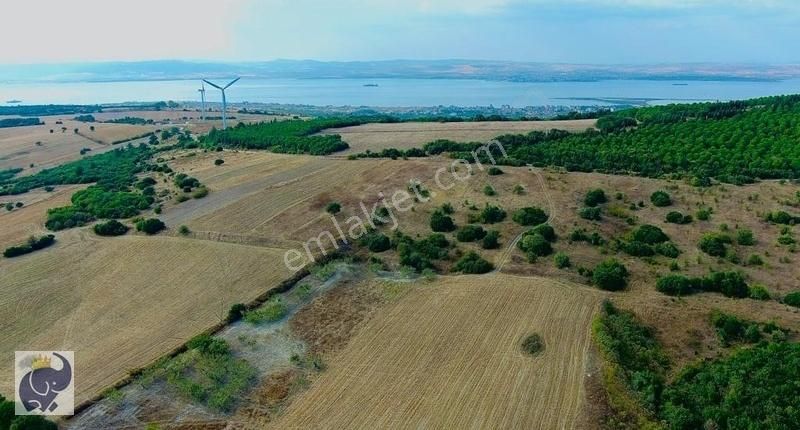 Lapseki Çardak Bld. (Gaziyakupbey) Satılık Tarla Lapseki Çardak Mecidiye Bölgesinde 5.700m2 Satılık Tarla