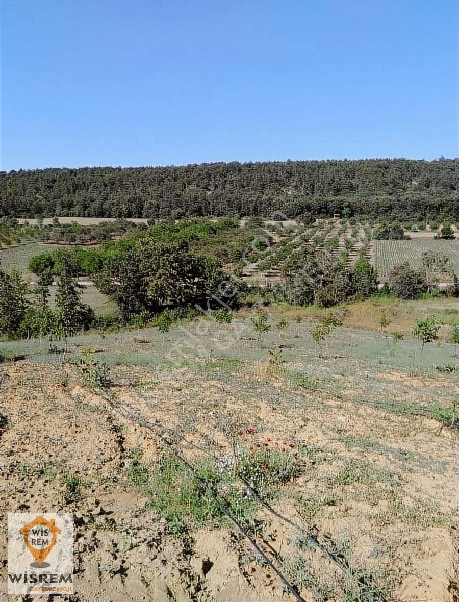 Gölpazarı Kavak Köyü (Şıhlar) Satılık Tarla Yok Böyle Manzara! Bilecik Gölpazarı Kavak'ta Satılık Tarla