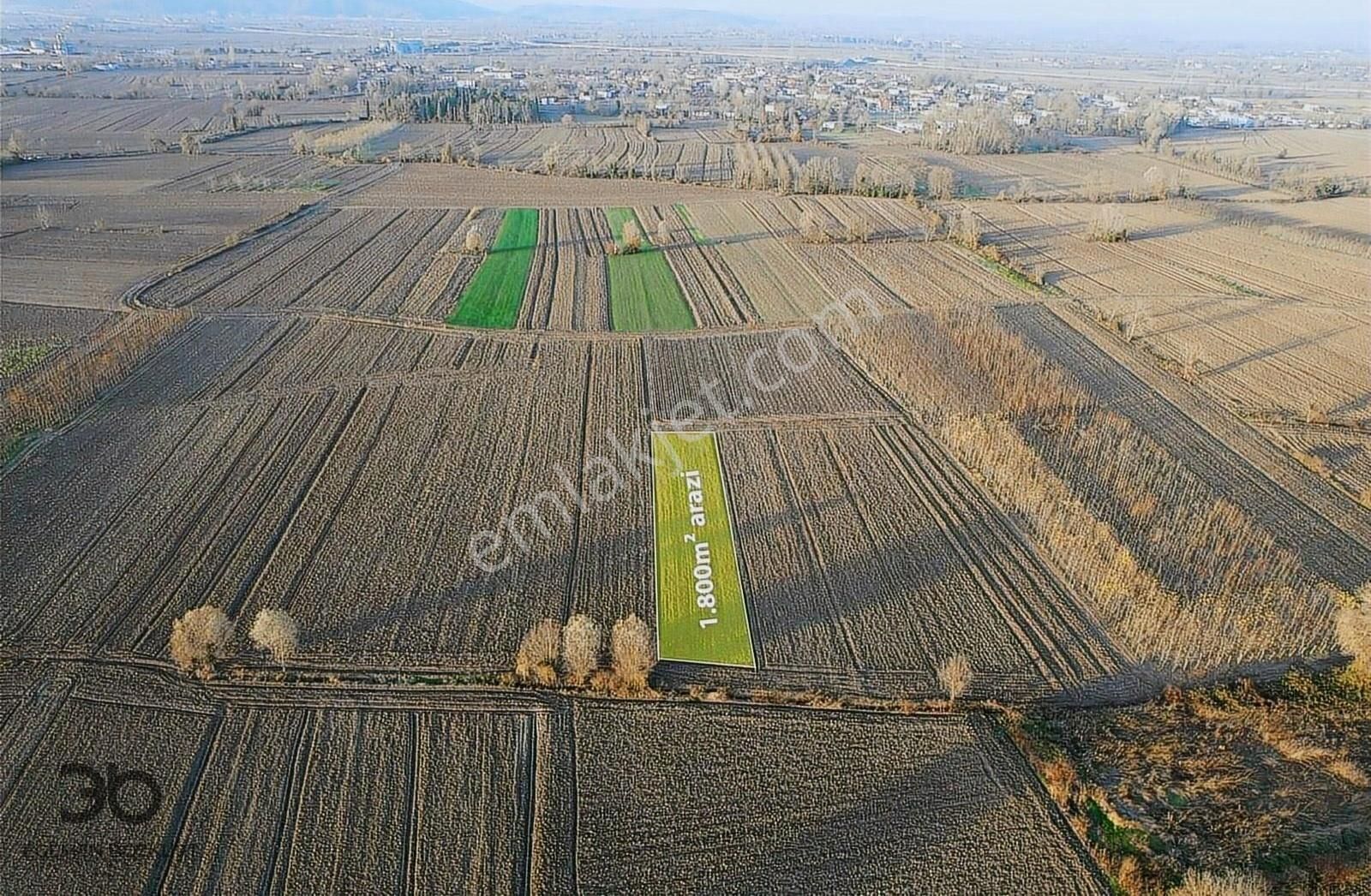 Adapazarı Budaklar Satılık Tarla Egemen Bozkurttan Budaklarda Yatırımlık 1800m2 Tarla