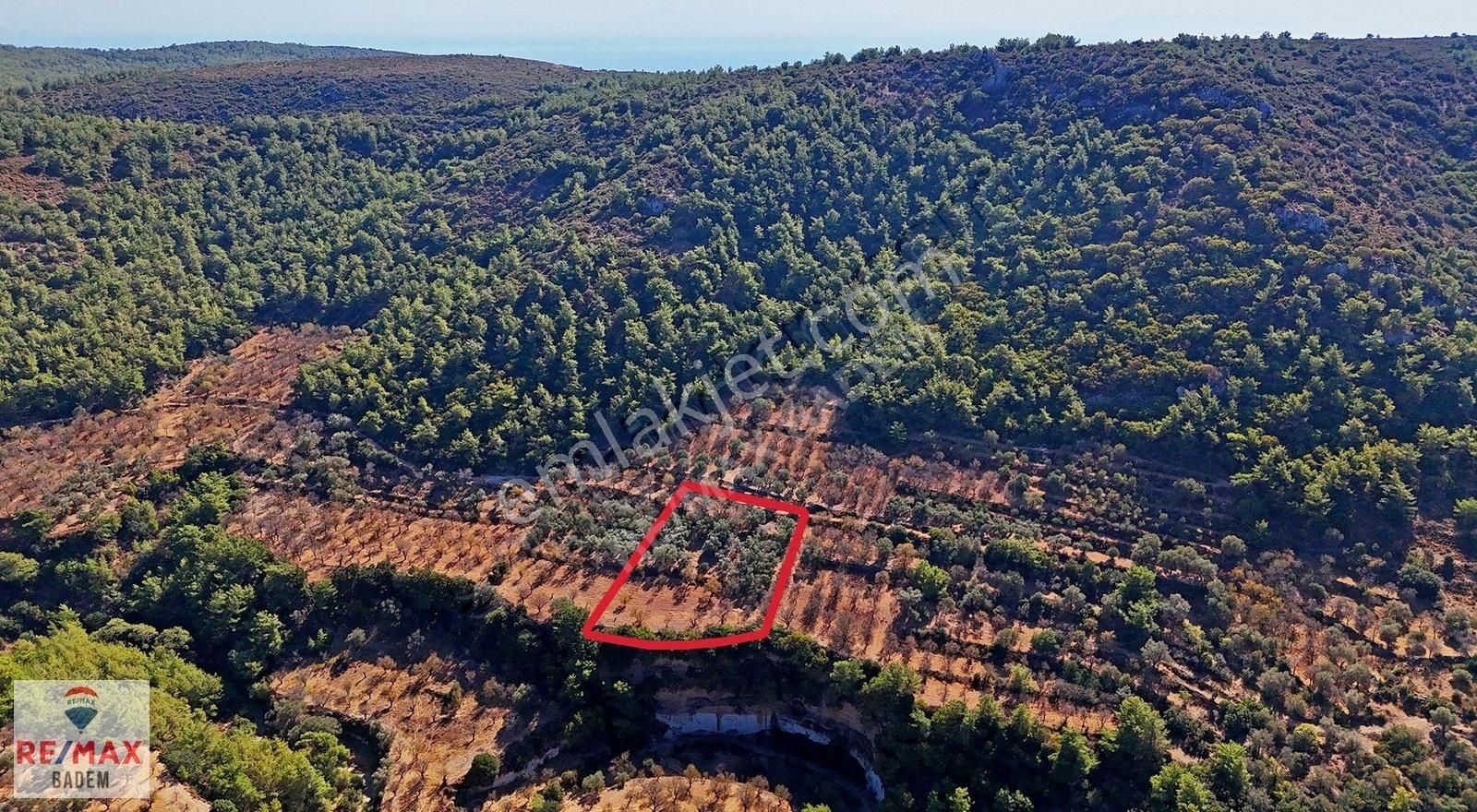 Datça Sındı Satılık Bağ & Bahçe Datça Sındı Zeytincik'te Bağ Bahçe Evi İmarına Uygun Arazi