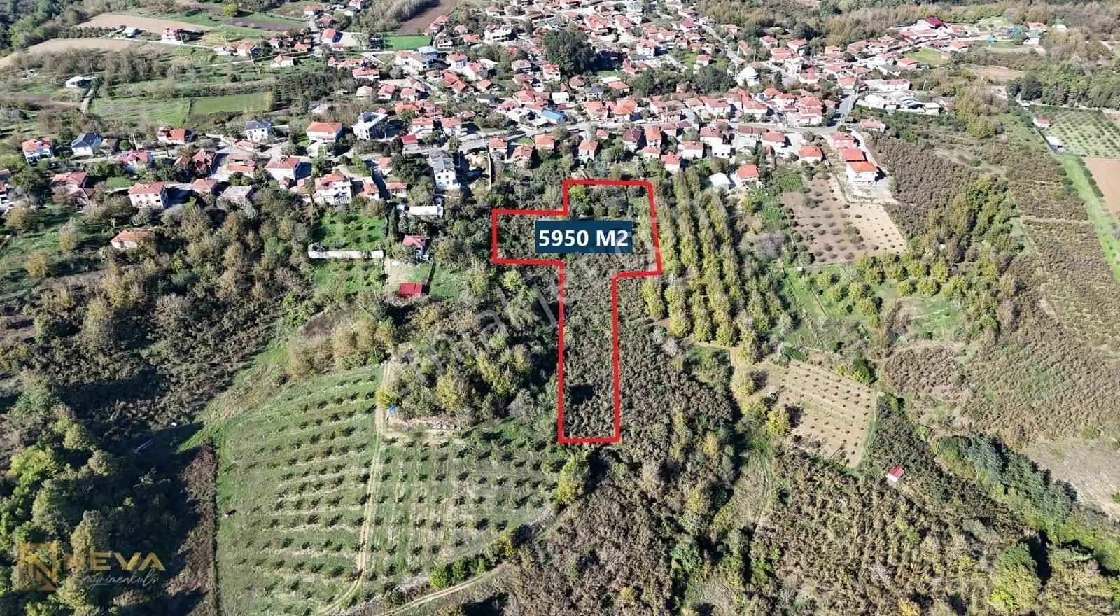 Serdivan Çubuklu Satılık Tarla Çubuklu Mah. Satılık 5950 M2 Köyiçi İmar Sınırında Fındık Bahçsi