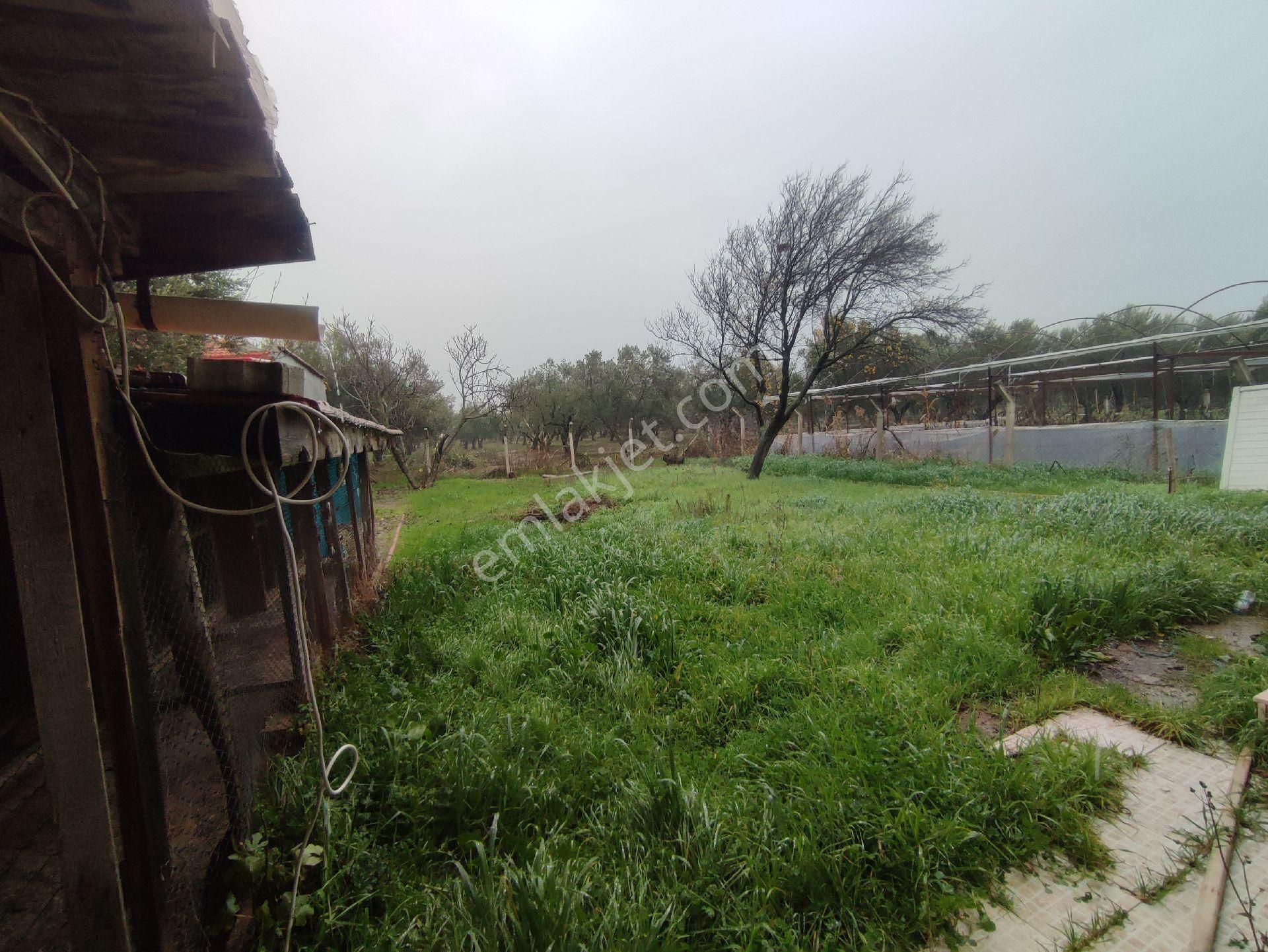 Utku Gayrimenkulden Akhisar Medar Mahallesinde Satılık Müstakil Villa - Görsel 8