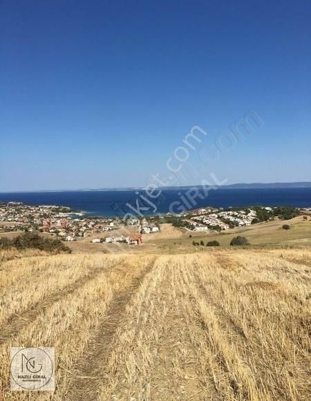 Gelibolu Güneyli Köyü Satılık Villa İmarlı Gelibolu Güneyli Satılık Arsa