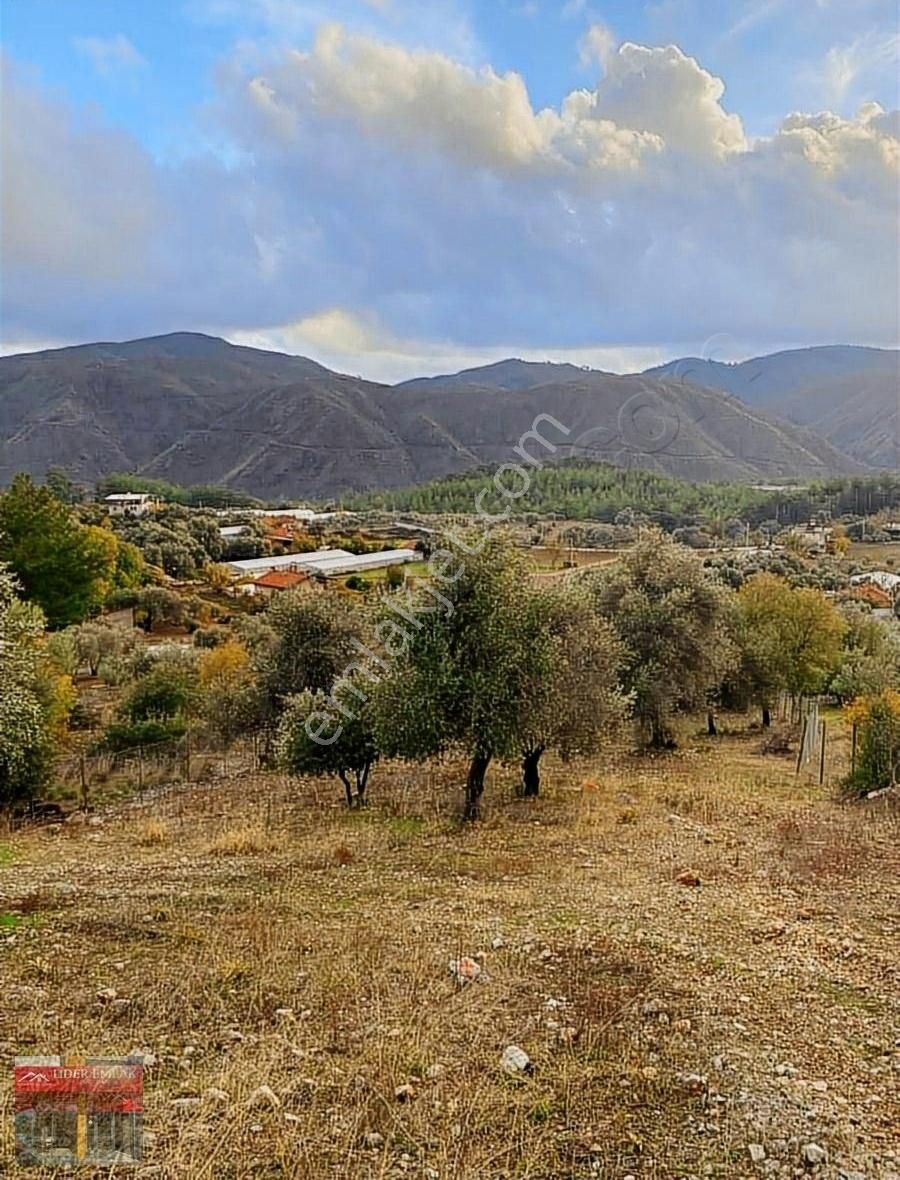 Dalaman Kayadibi Satılık Tarla Dalaman Kayadibi Köyünden Satılık Zeytin Agaçları Olan 1105 M2