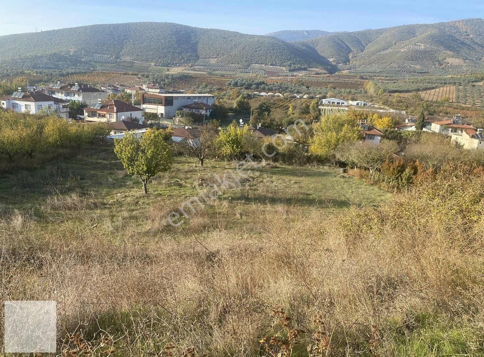 İznik Kaynarca Satılık Tarla Kaynarca Köy İçinde Mükemmel Yer