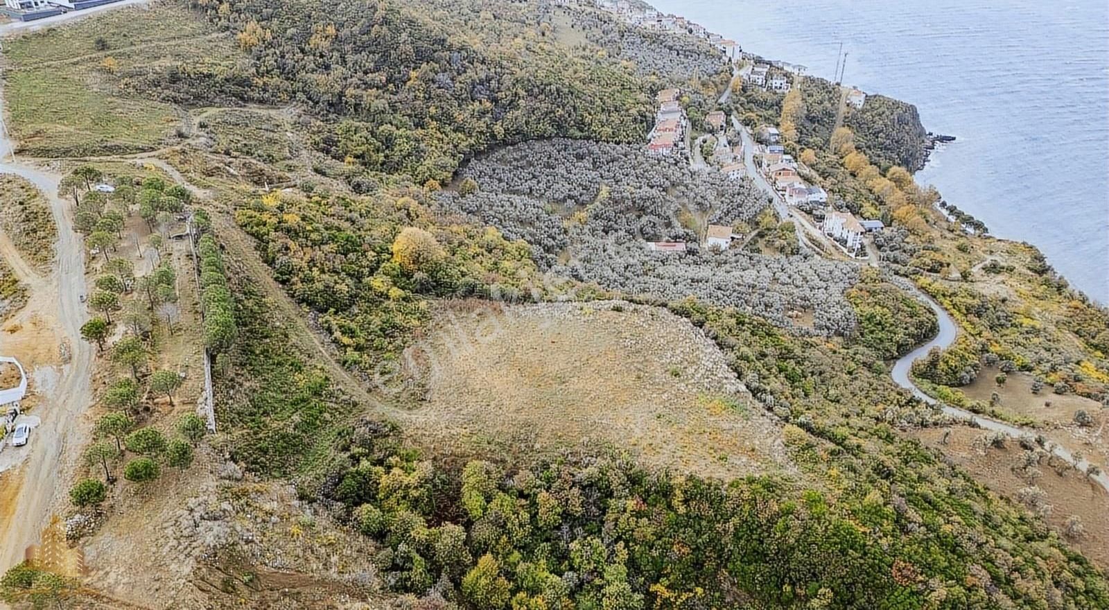 Çınarcık Esenköy Bld. (Liman) Satılık Turizm İmarlı Yalova Esenköyde Denize 240m Turizmiimarlı Arsa