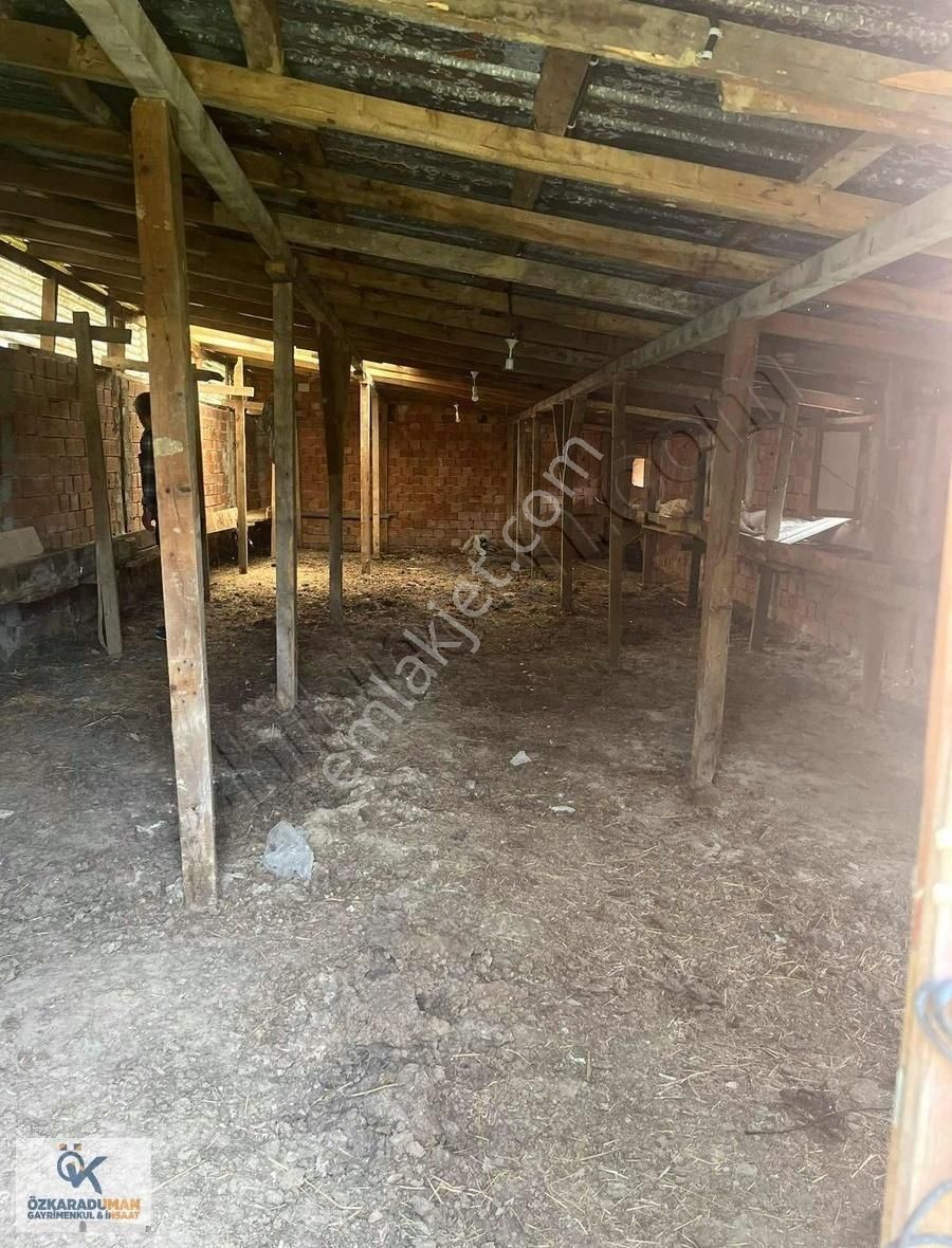 5 Dönüm Aslafta Sıfır Kiralık