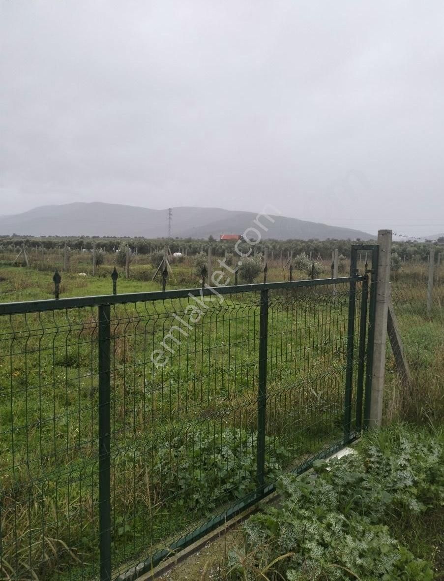 Torbalı Özbey Satılık Tarla Değerli Konumda Arsa Otoyola Yakın