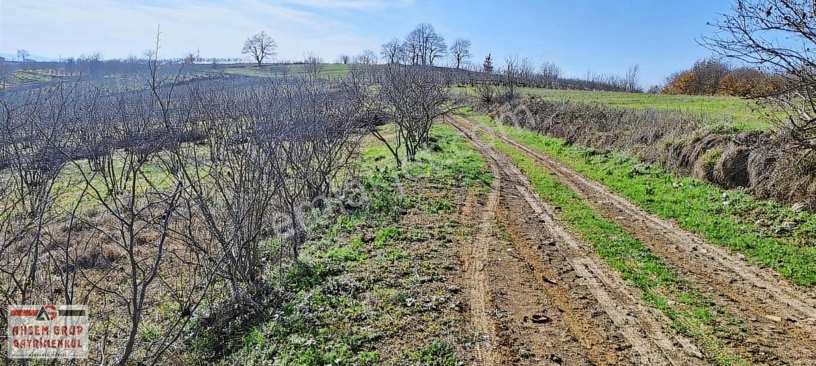 Kandıra Hüdaverdiler Satılık Tarla Hüdaverdilerde Resmi Yol Kenarı 614 M2 Satılık Hobi Bahçesi