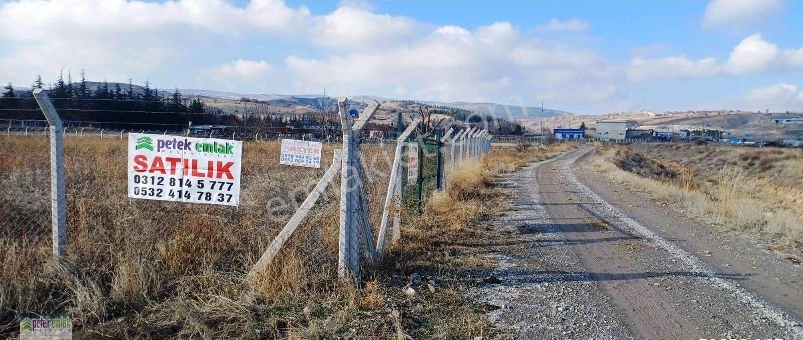 Kahramankazan Örencik Satılık Tarla Petek Emlak'tan Örencik'te Havadar 3950 M2 Kelepir Kupon Arazi