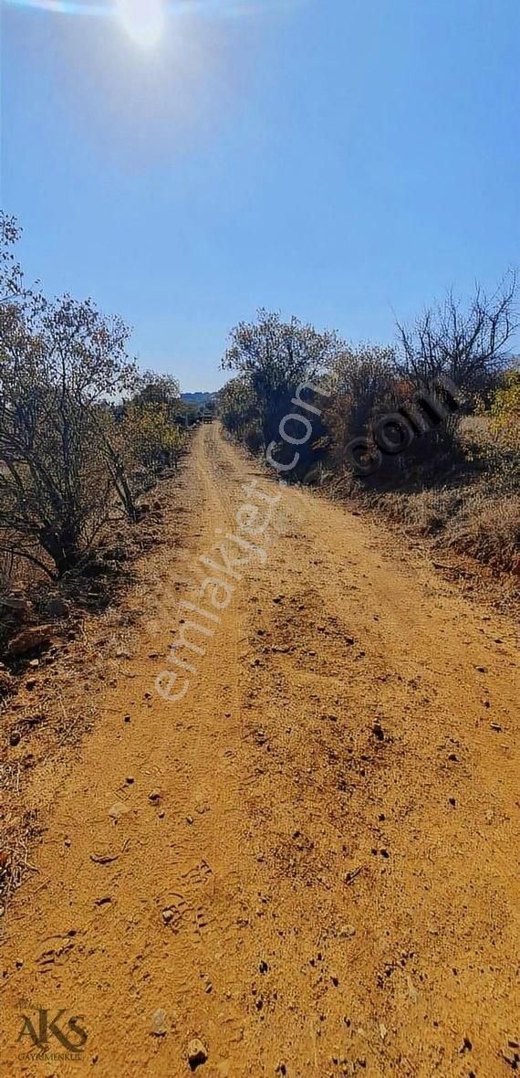 Yola Sıfır Tamamı Harika Göl Manzaralı Tek Tapu 1.782m2 Tarla - Görsel 12