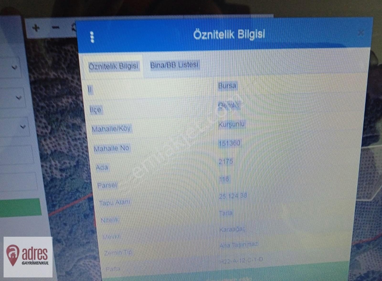 Gemlik Kurşunlu Satılık Zeytinlik Gemlik Kurşunlu Köyü 25 Dönüm Zeytinlik Adres Den