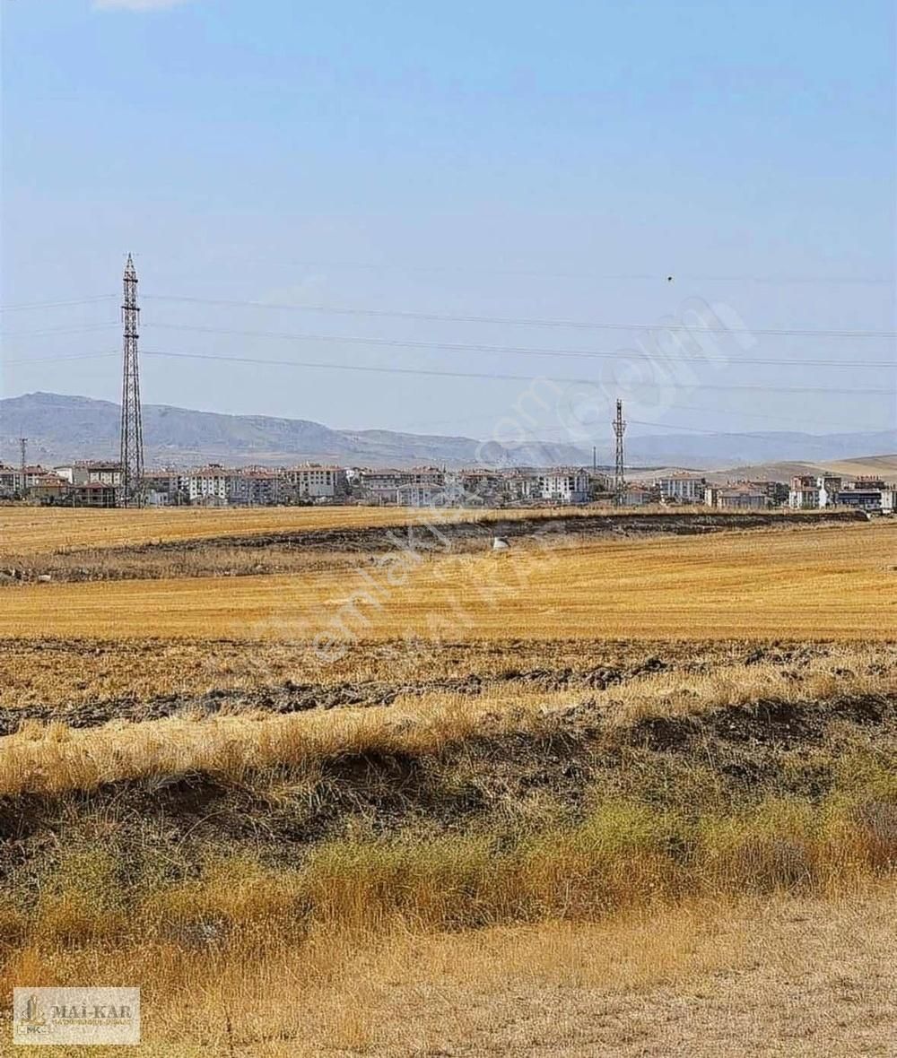 Tek Tapu Arsa 600 M2 Tel Örgülü - Görsel 8