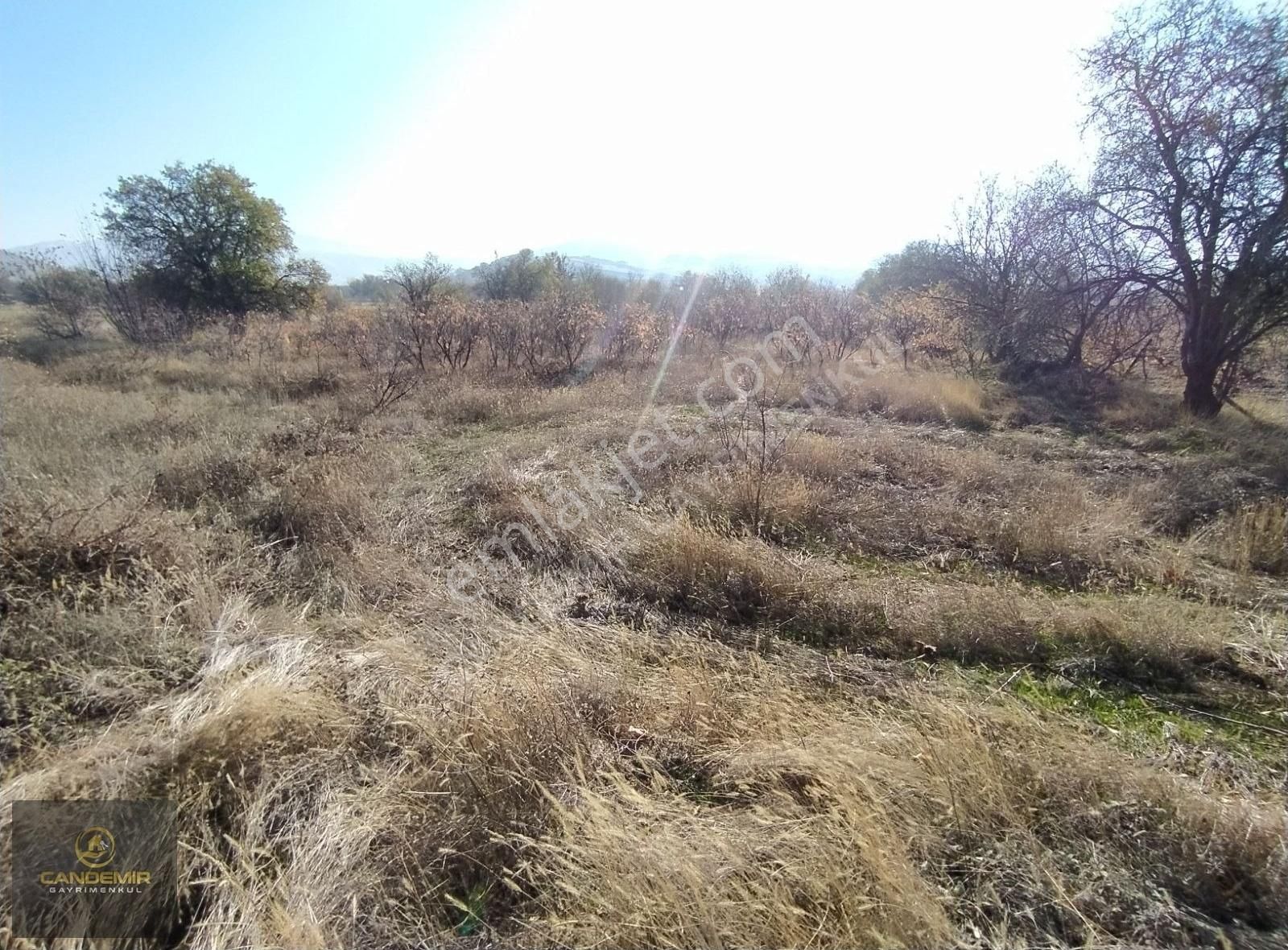 Elazığ Merkez Gözebaşı Köyü (Yeşilyurt) Satılık Tarla Gözebaşı Köyünde Fırsat Yatırımlık Bahçelik Tarla