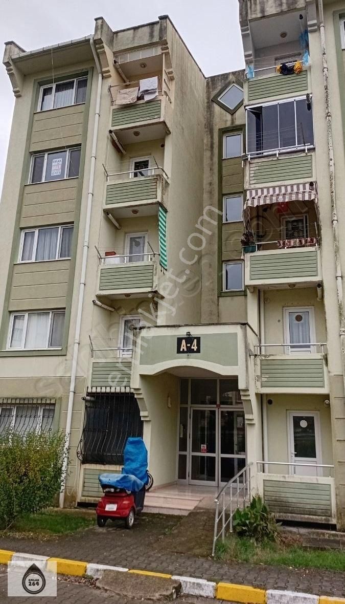 Adapazarı Korucuk Kiralık Daire Dorukkent Sitesi Kiralık 1+1 Arakat Daire