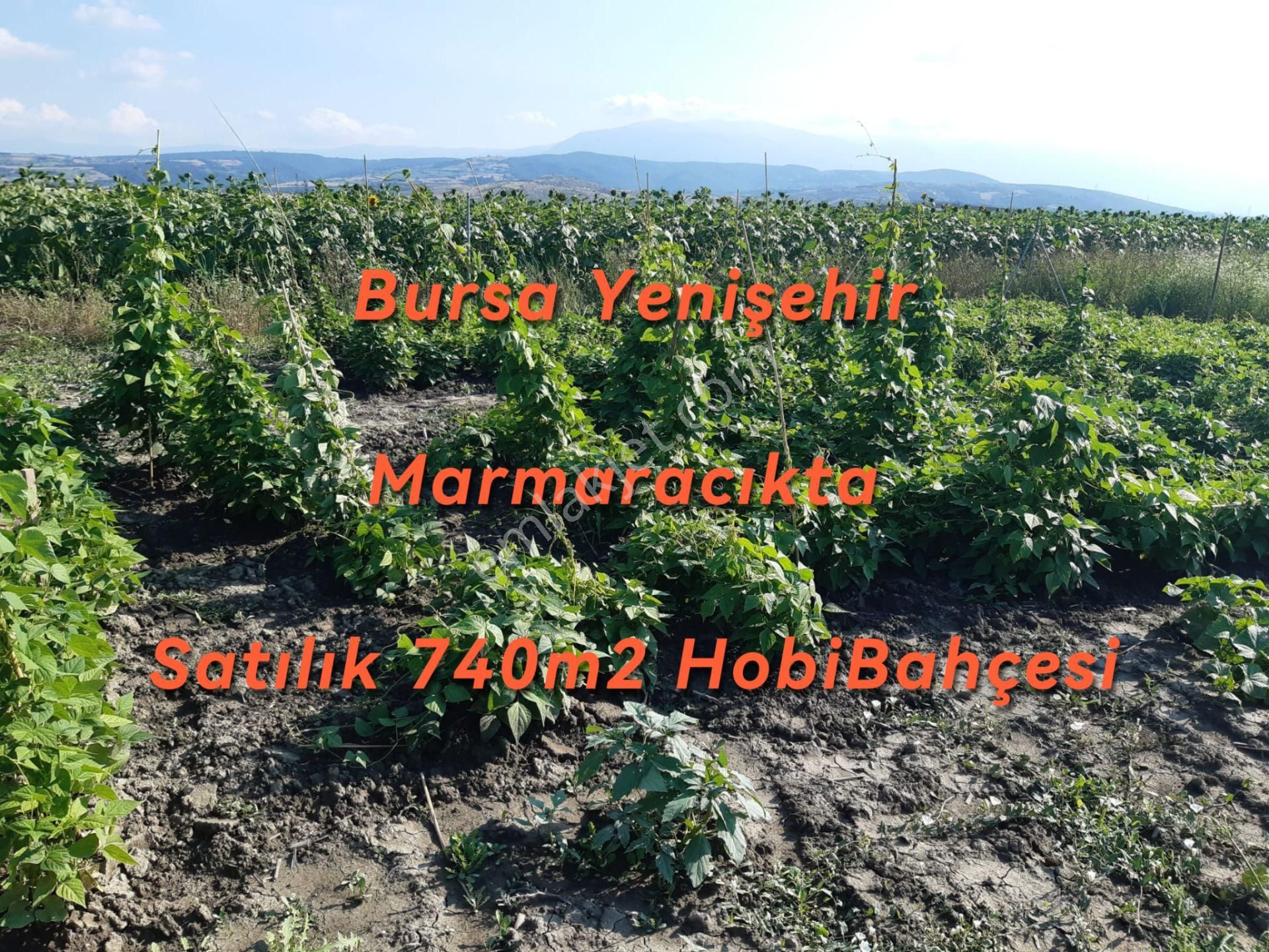 Yenişehir Marmaracık Satılık Tarla Bursa Yenişehir Marmaracıkta Satılık 740m2 Hobibahçesi