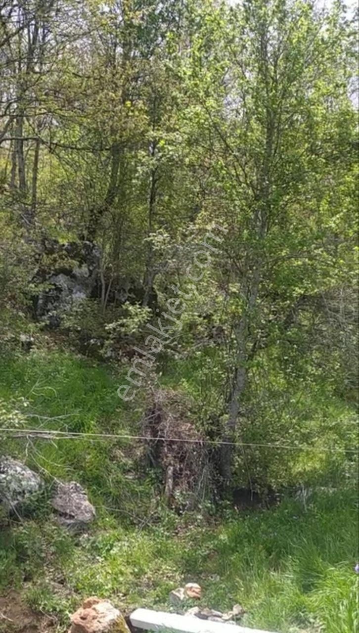 Bilecik İnhisar Hisarcık,ta Acil Satılık 2200m2 Tarla - Görsel 5