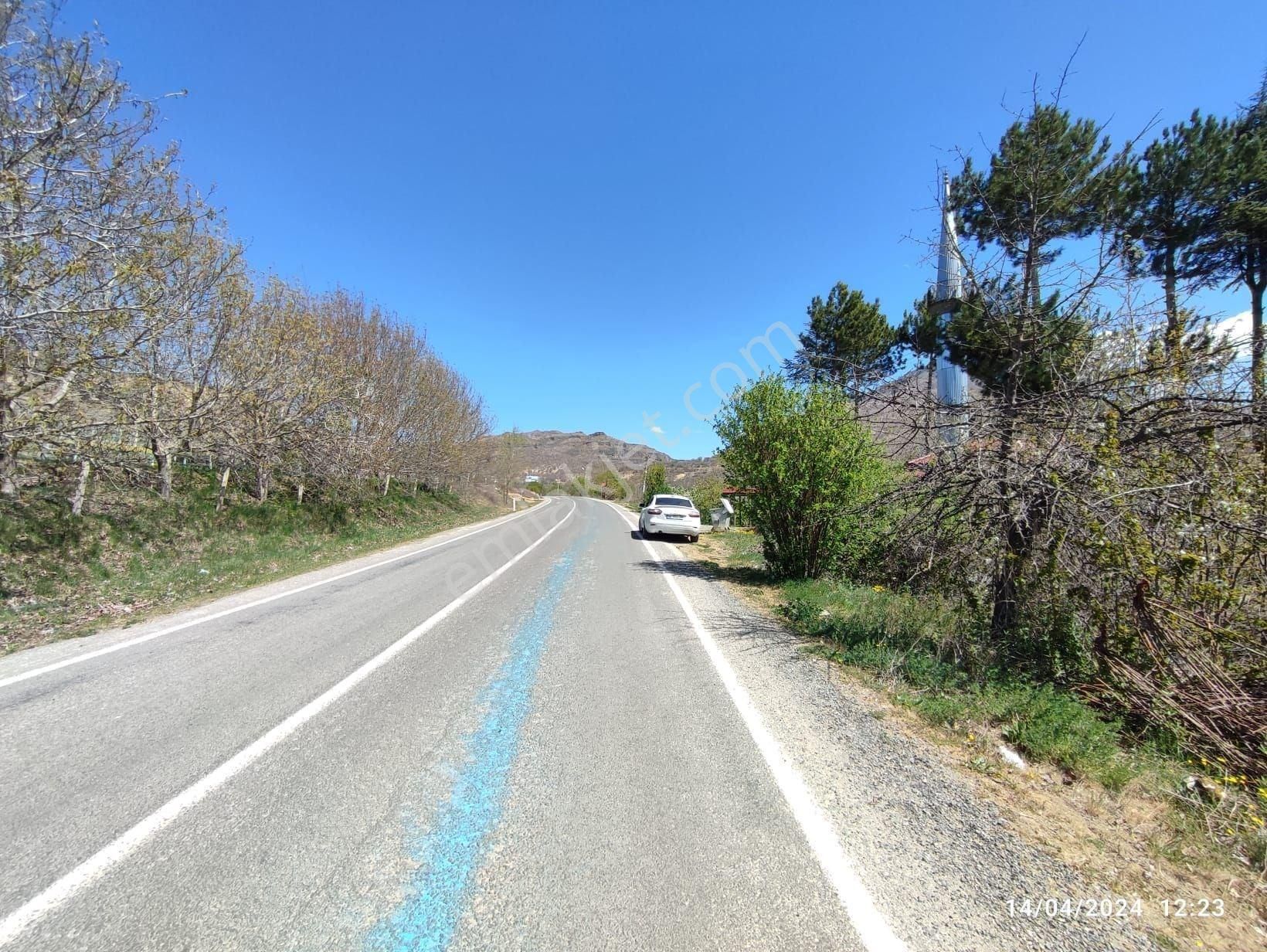 Seben Keskinli Satılık Bağ & Bahçe Bolu Seben Keskinli Mah. 1940 M2 Yol Cepheli Satılık Bahçe Tarla