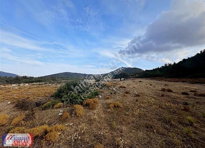 Karaburun Eğlenhoca Satılık Tarla 48.000 M2 Doğanın İçerisinde Satılık Tarla