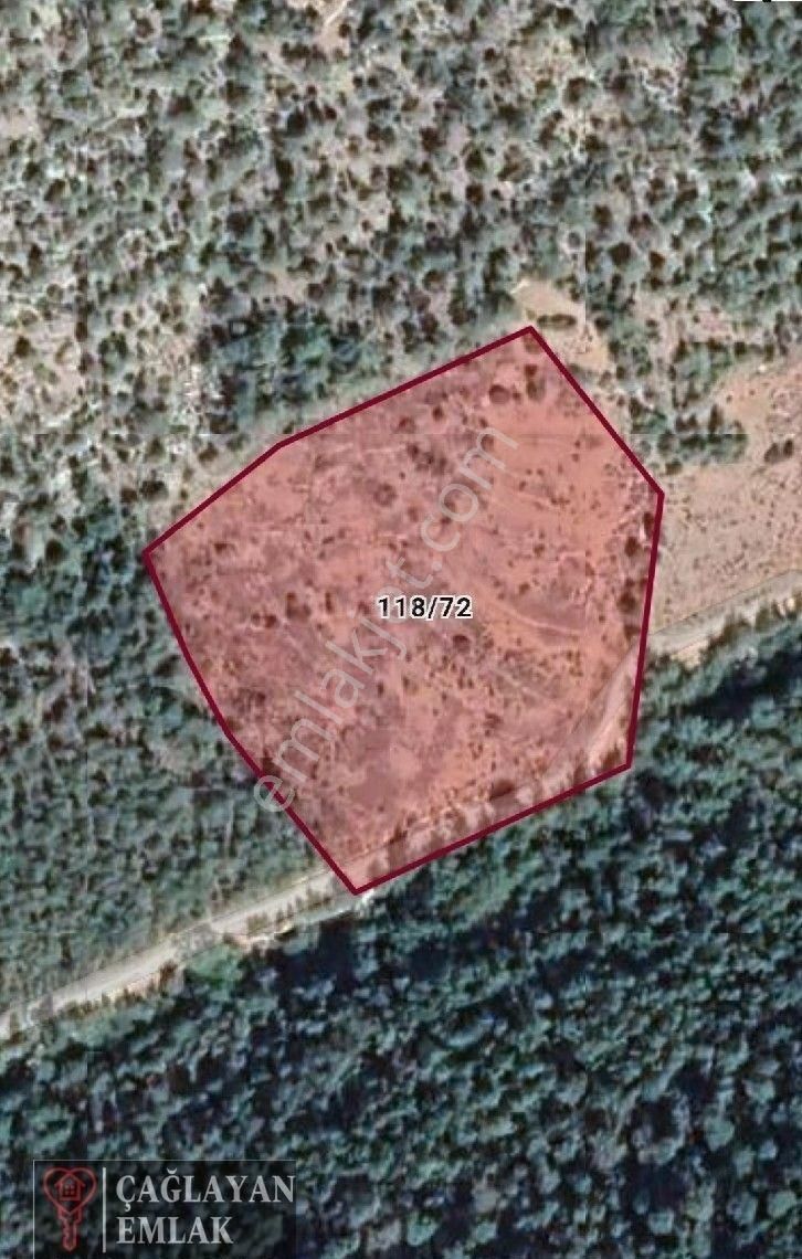 Büyükeceli Akkuyuda Satılık Tarla - Görsel 2