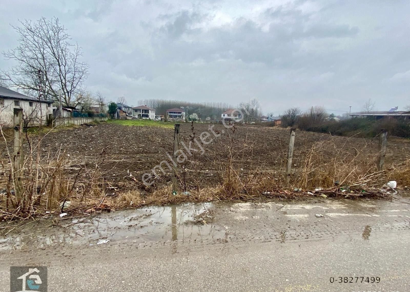 Canbulattan Küçükahmetlerde Ana Yol Cepheli 4469 M² Satılık Arsa - Görsel 8
