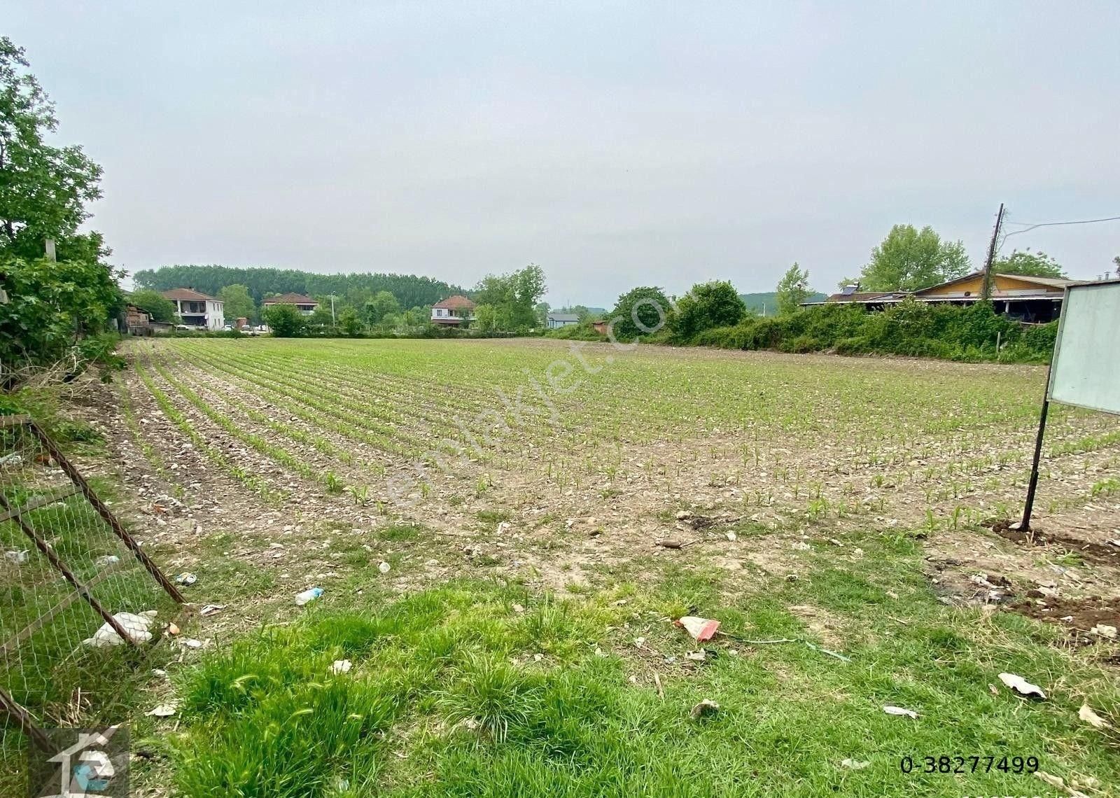 Canbulattan Küçükahmetlerde Ana Yol Cepheli 4469 M² Satılık Arsa - Görsel 6