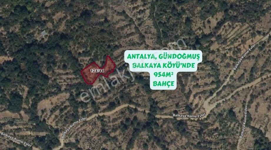 Gündoğmuş Balkaya Satılık Bağ & Bahçe Antalya Gündoğmuş Balkaya(semet) Köyü 954m² Tarla Satılıktır.