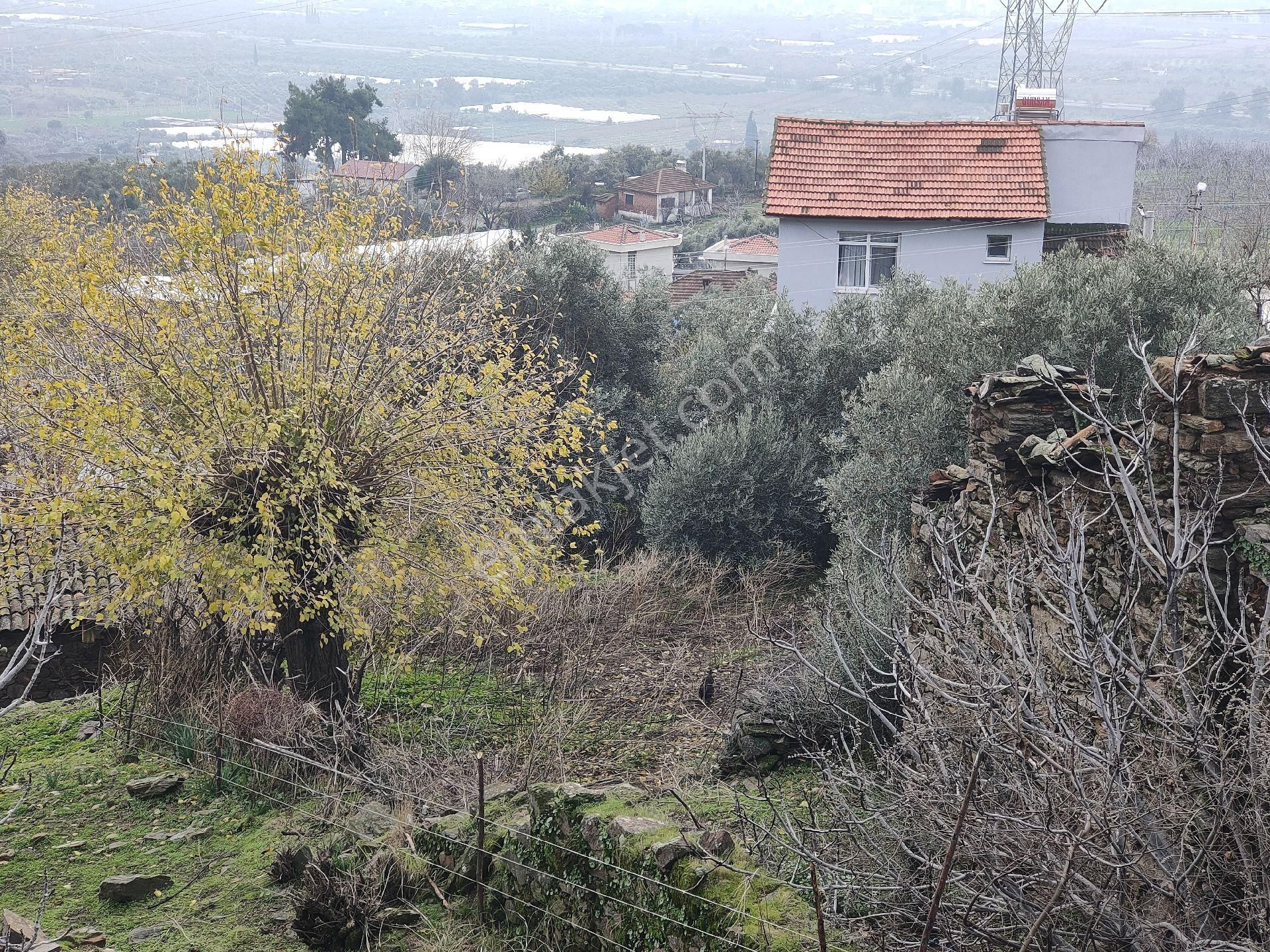 İncirliova Karabağ Satılık Konut İmarlı Ada Royalden Karabağ Da İmarlı Köy İçi Arsa