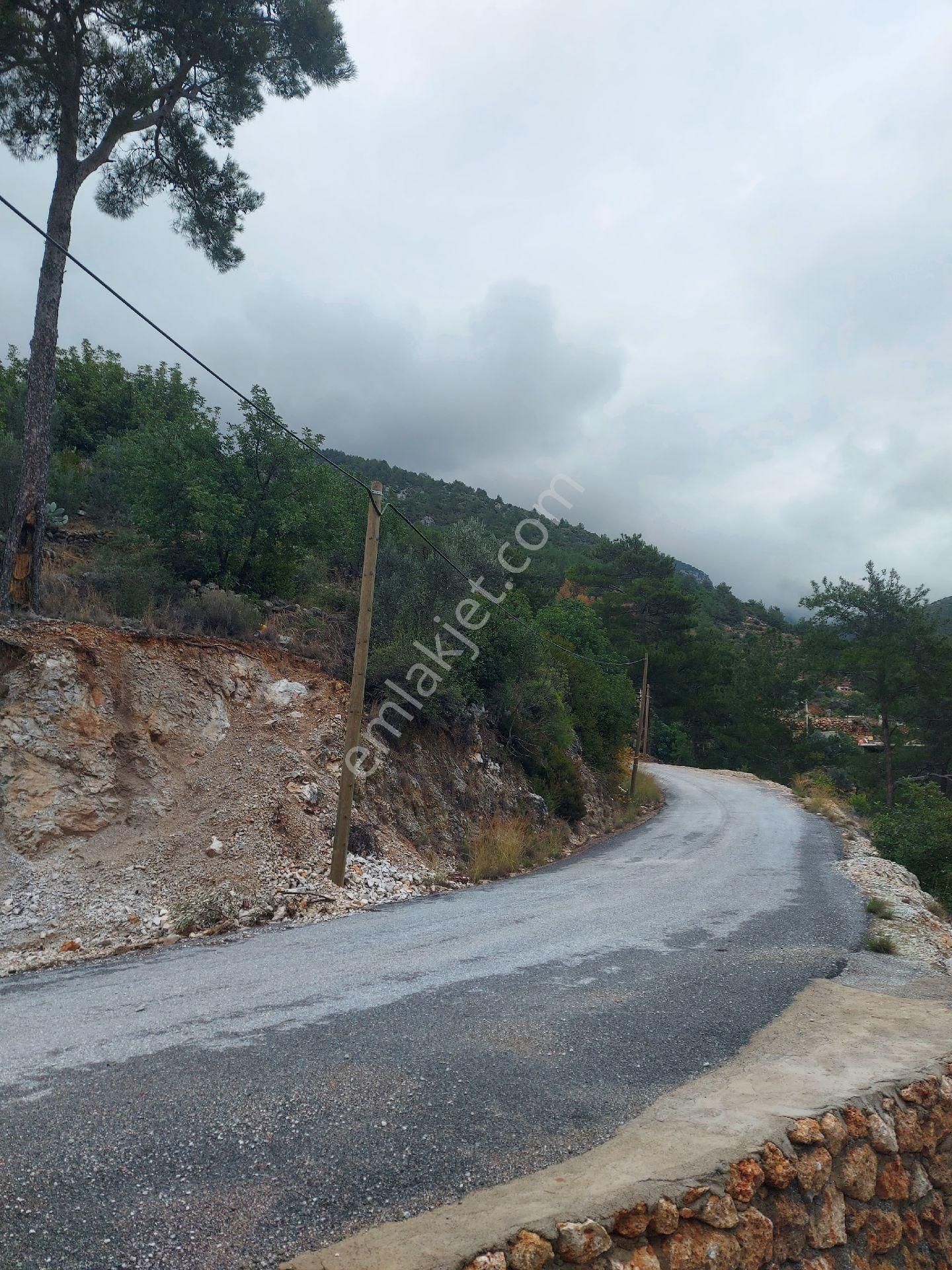 Alanya Obaalacami Satılık Tarla Alanya Obaalacami Mahallesi Satılık Tarla