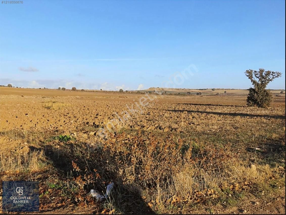 Çanakkale Merkez Kumkale Köyü (Mehmet Çavuş) Satılık Tarla Çanakkale Merkez Kumkale'de Yola Cepheli Satılık 16.000 M2 Tarla