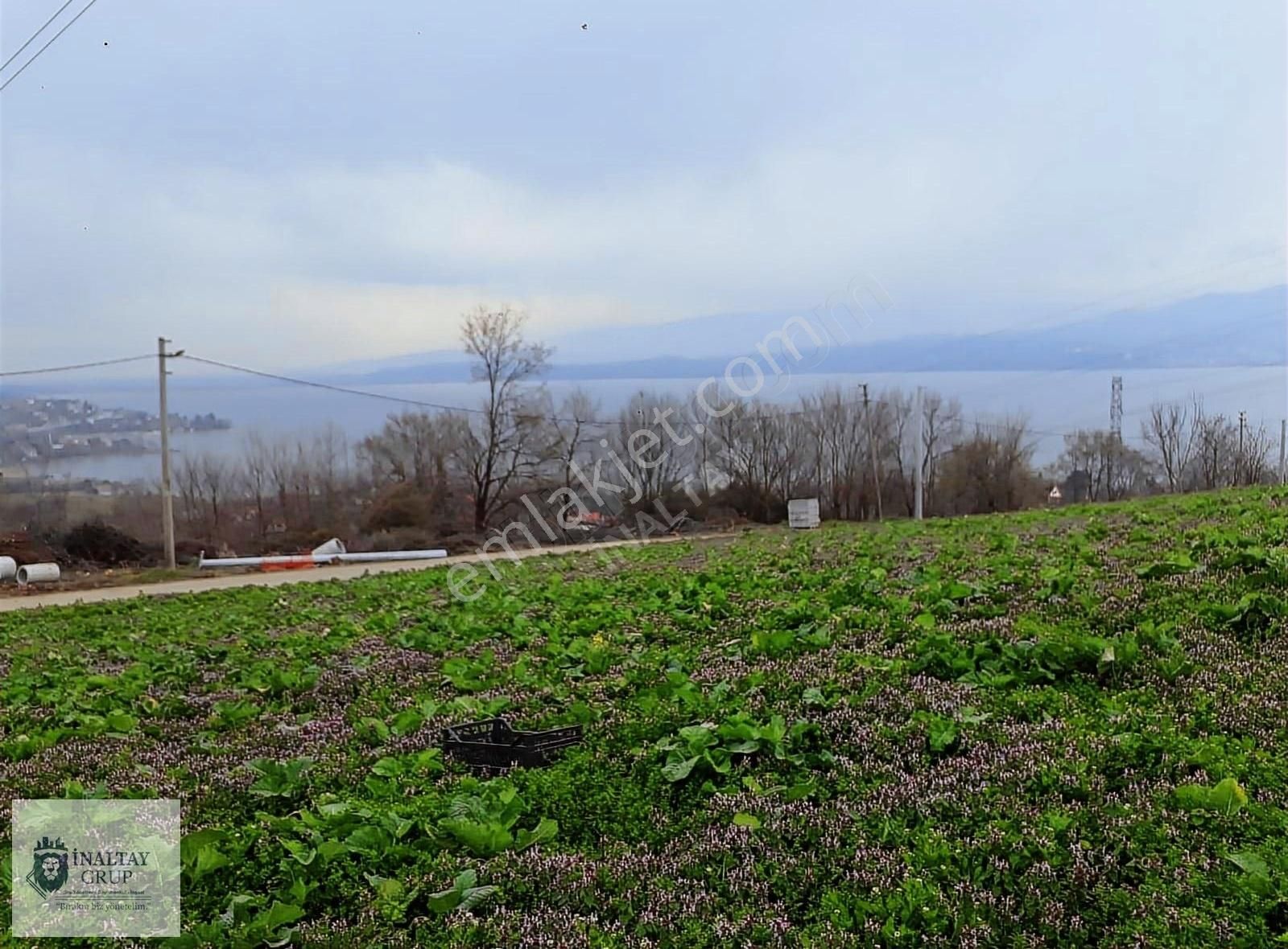 Serdivan Yukarıdereköy Satılık Tarla Serdivan Yukarıdere Panaromik Sapanca Gölü Manzaralı